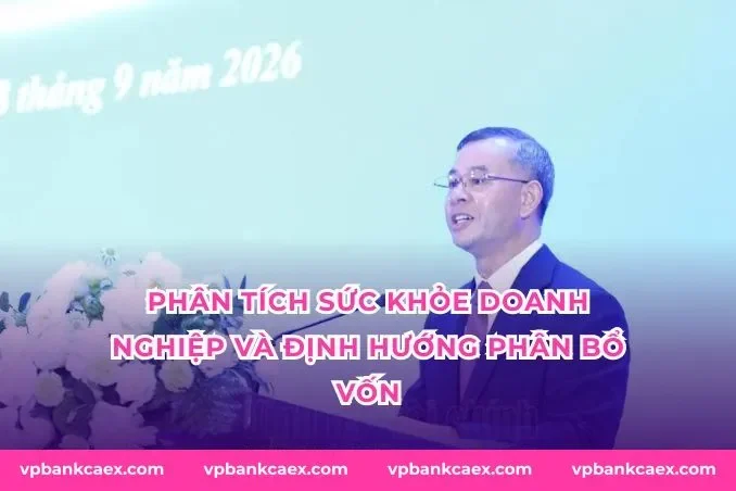 Phân tích sức khỏe doanh nghiệp và định hướng phân bổ vốn