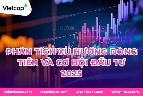 Phân tích xu hướng dòng tiền và cơ hội đầu tư 2025