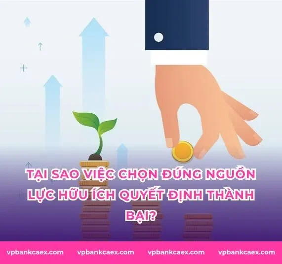 Tại Sao Việc Chọn Đúng Nguồn Lực Hữu Ích Quyết Định Thành Bại?