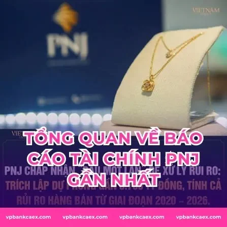 Tổng quan về báo cáo tài chính PNJ gần nhất